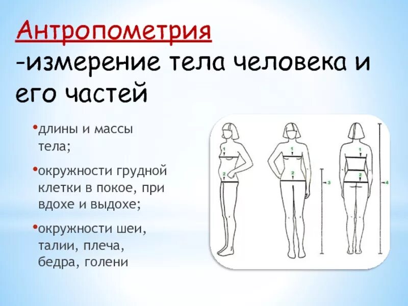Измерение длины тела. Измерение роста стоя и сидя. Антропометрия соматометрия. Измерения длины тела. Измерения длины тела.