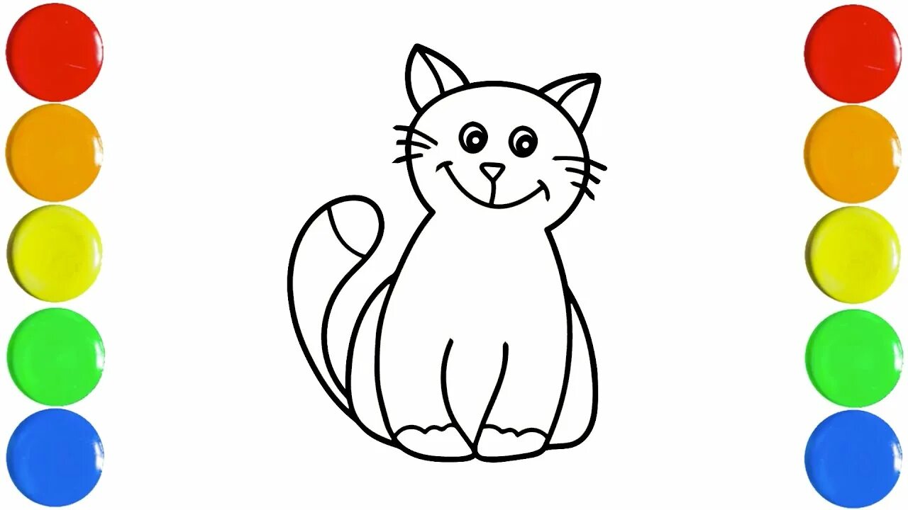 She cat colours