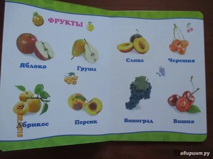 Фрукты овощи ягоды слова