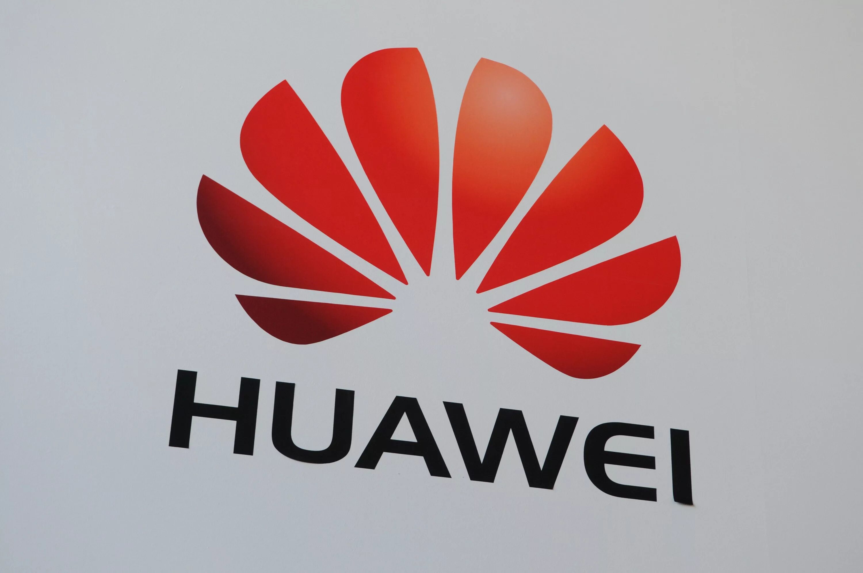 Логотип huawei. Логотип my huawei. самсунг хуавей лого. логотип huawei цвет.