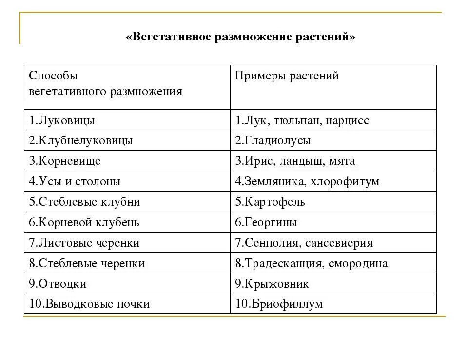 Заполнить таблицу вегетативное размножение. Способы вегетативного размножения растений таблица. Способы вегетативного размножения растений таблица с примерами. Вегетативное размножение растений таблица с примерами. Вегетативное размножение растений таблица.