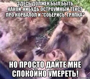 Саня последнее