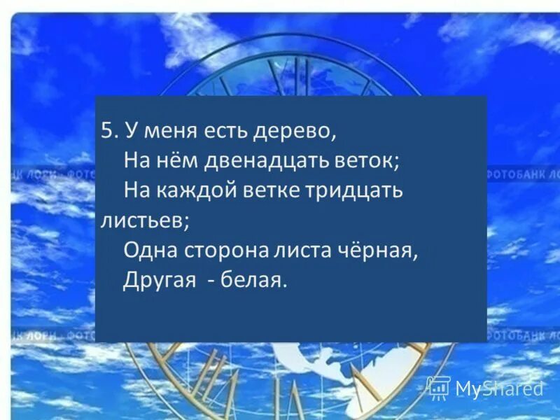 тридцать листов. книга про животных 1975 года. правописание ь в числительных. книга 31 день алексин. прошнуровано и пронумеровано образец.