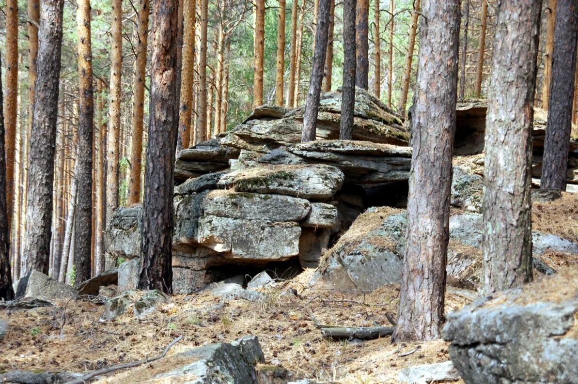 Ильменский заповедник каменное городище. Каменный город шумиха. Долина миасса (каменное городище). Ильменский заповедник каменное городище. Ильменский заповедник городище.