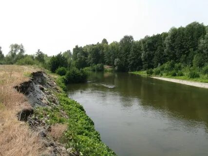 Терешка