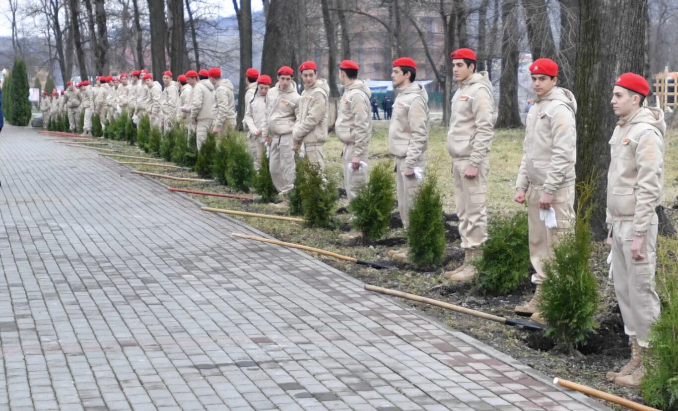 Аллея памяти в Северной Осетии. Аллея памяти Владикавказ. Сад памяти. Сады Северной Осетии. Сады осетии