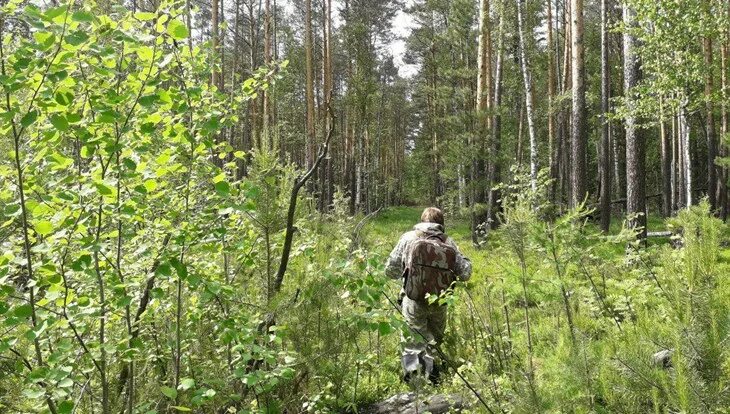 Экологи томск. Экологи томск. Слет юных экологов. Экологи томск. Экологические экспедиции.