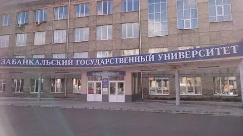 Забгу чита