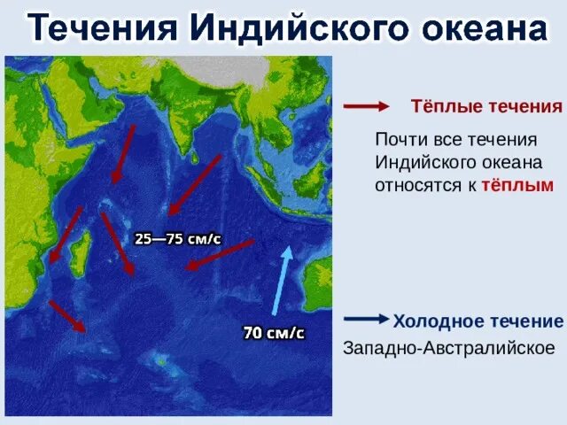 Какое из океанических течений теплое