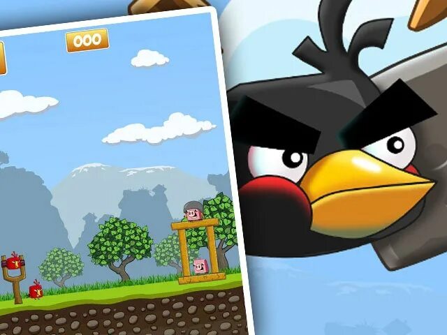 Безумная птичка. Crazy bird. Чокнутая птичка. Crazy birds. Crazy bird.