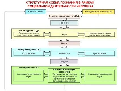 Деятельность человека формы познания