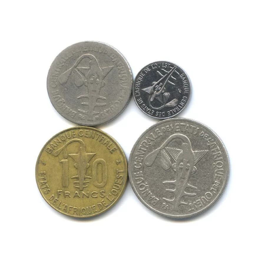 монеты конго африки. золотая монета юар. монеты западной африки. арабские монеты. монеты с животными.