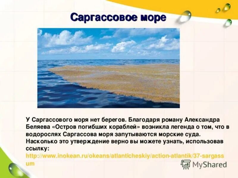 Какое название имеет море без берегов. Саргассово море. Саргассово море на карте. Саргассово море границы. Саргассово море легенды.