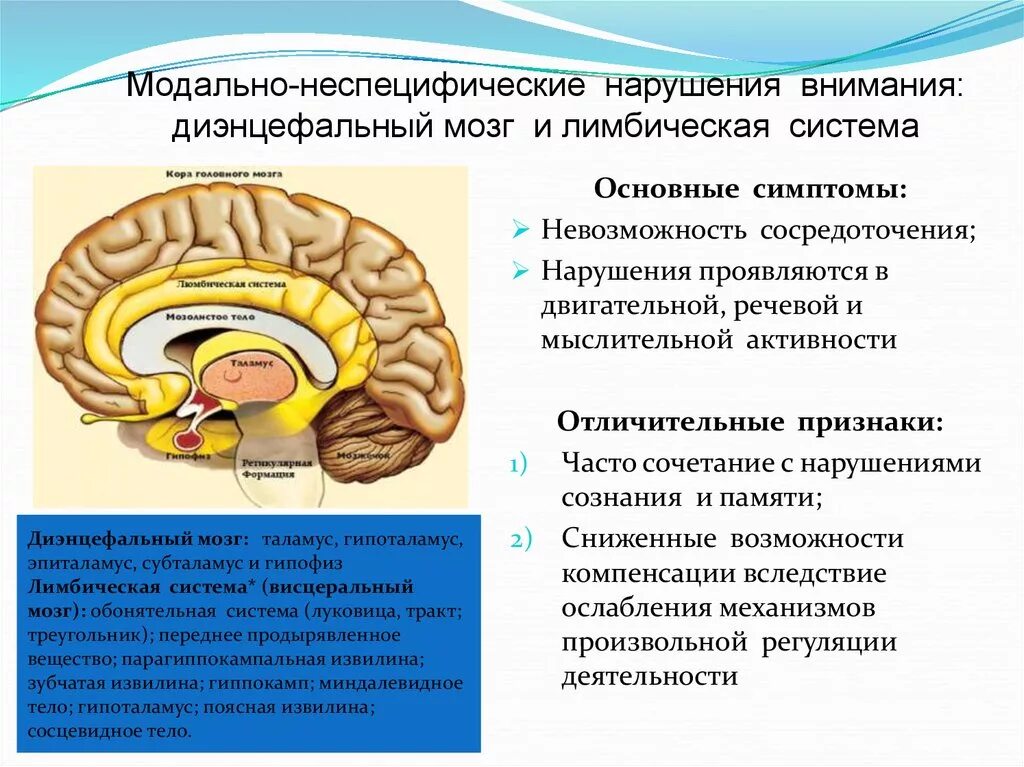 Лимбическая система симптомы поражения. Диэнцефальные структуры головного мозга функции. Диэнцефально стволовые структуры головного мозга. Признаки ирритации диэнцефальных структур головного мозга. Неспецифические изменения мозга