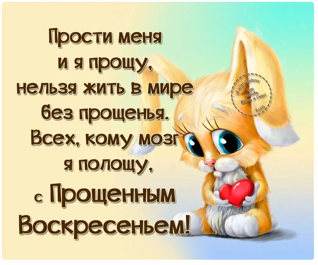 Прощение прикол