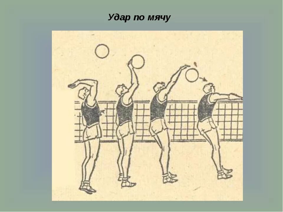 Как правильно бить в волейболе. Техника нападающего удара по мячу в волейболе. нападающий удар в волейболе. крученая подача в волейболе. нападающий удар в волейболе техника.