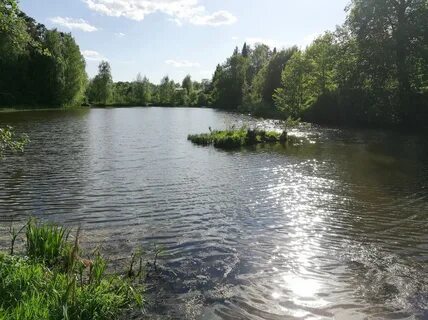 Деревня воронки московская область
