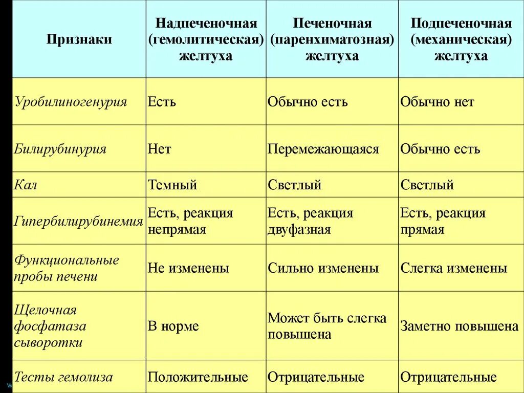 Желтуха заразная или нет. Печеночная желтуха симптомы. При механической желтухе характерно:. Цвет мочи при паренхиматозной желтухе. Уровень билирубина при паренхиматозной желтухе.