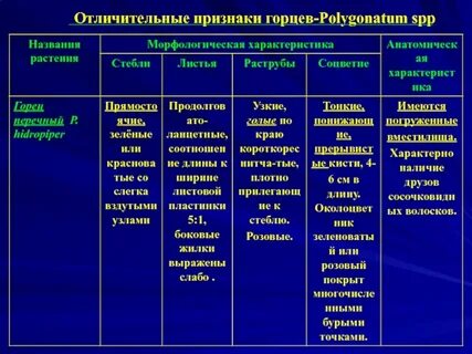 Отличительные признаки видов