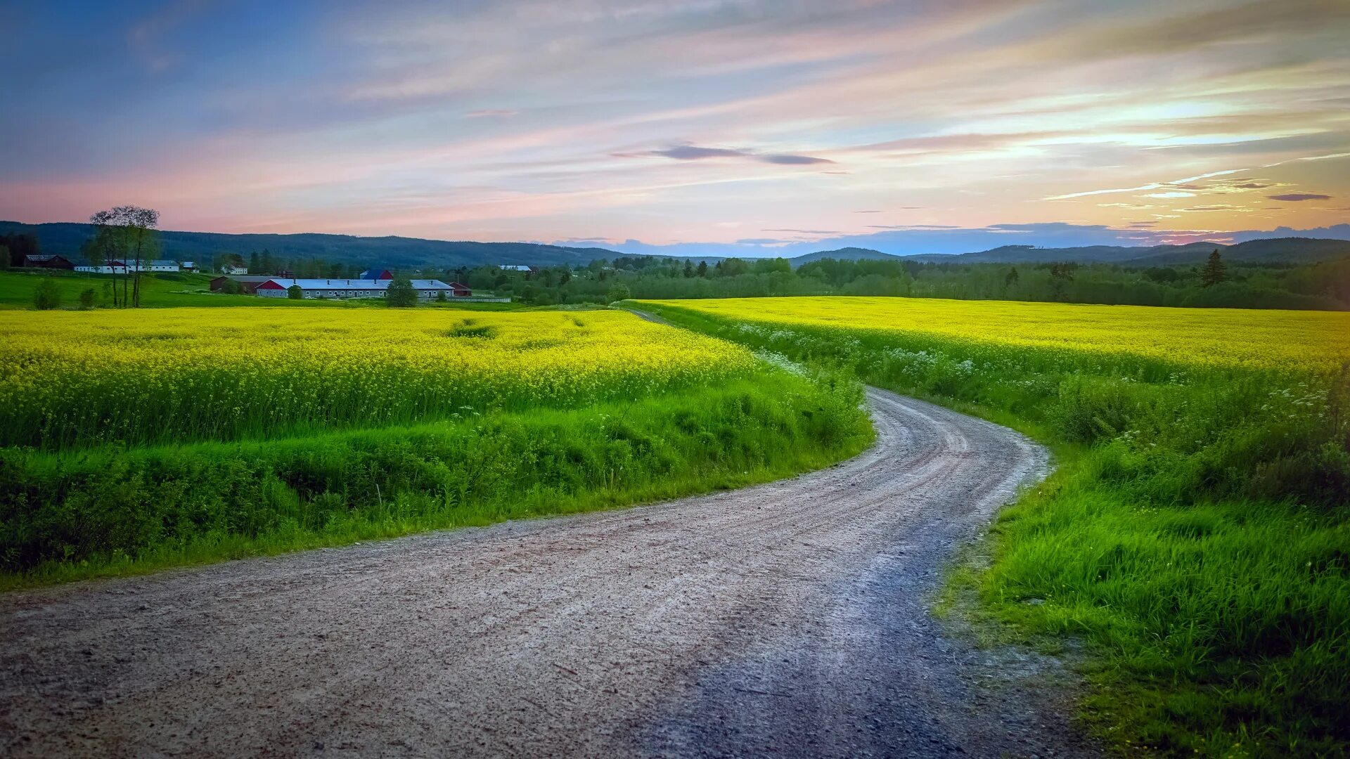 County roads. Проселочная дорога в поле. Дорога Проселочная тропинка. Проселочная дорога в поле сбоку. Пейзаж с дорогой.