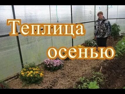 Теплица осенью готовим к новому сезону