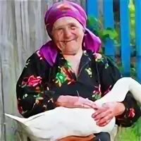 Фамилия бабка