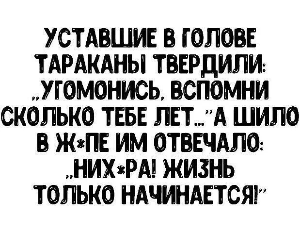 Тебе не стать мной угомонись текст. Уставшие тараканы в голове. уставшие тараканы в голове твердили. уставшие тараканы твердили угомонись вспомни сколько тебе лет. тараканы в голове твердили угомонись.