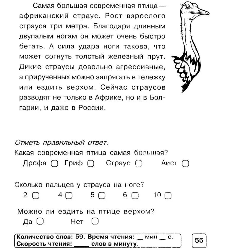 Познавательные тексты для детей. Текст на скорость чтения 3 класс. Текст на скорость чтения 1 класс. Тексты для чтения 1 класс на скорость чтения. Задания по чтению 3 класс по чтению.