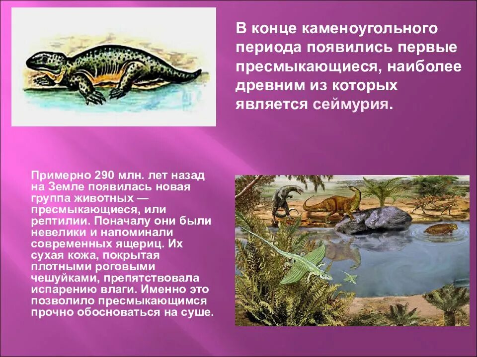 Жизнь на суше появилась. Первые пресмыкающиеся появились. Появление пресмыкающихся период. Появление пресмыкающихся Эра. Появление рептилий Эра.