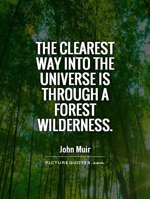 The way is clear