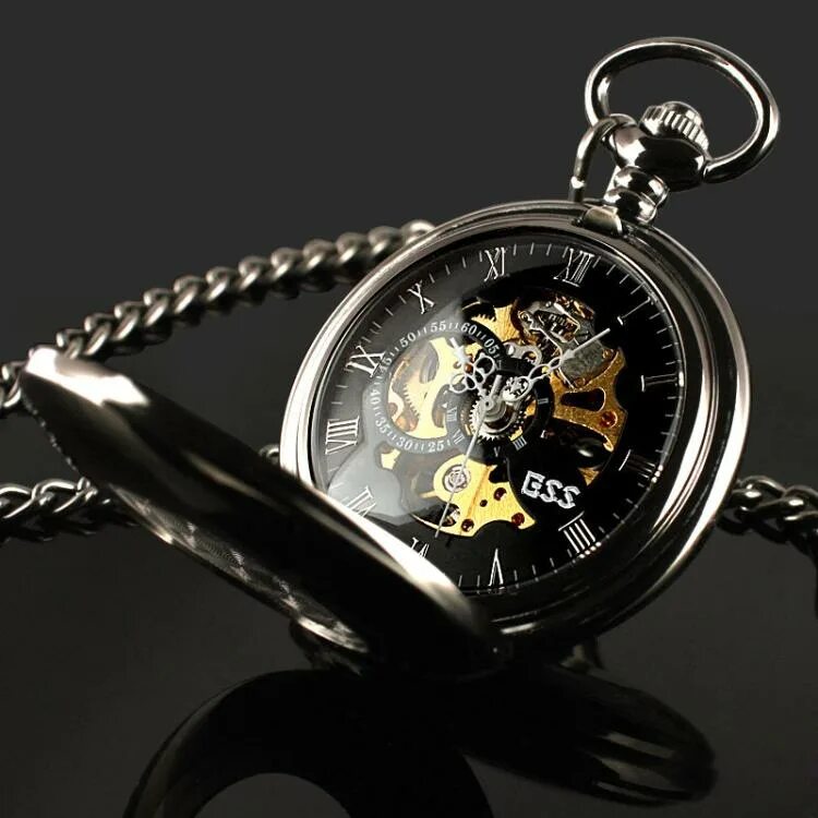 Карманно наручные часы. Карманные часы Bevilard. All time карманные часы молния скелетоны. Longines скелетон. Часы Бергут скелетоны.