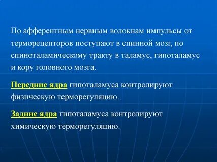 Терморегуляция мозга