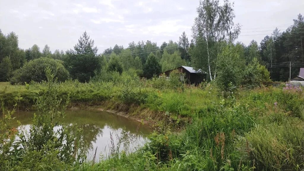 Деревня егорьевское