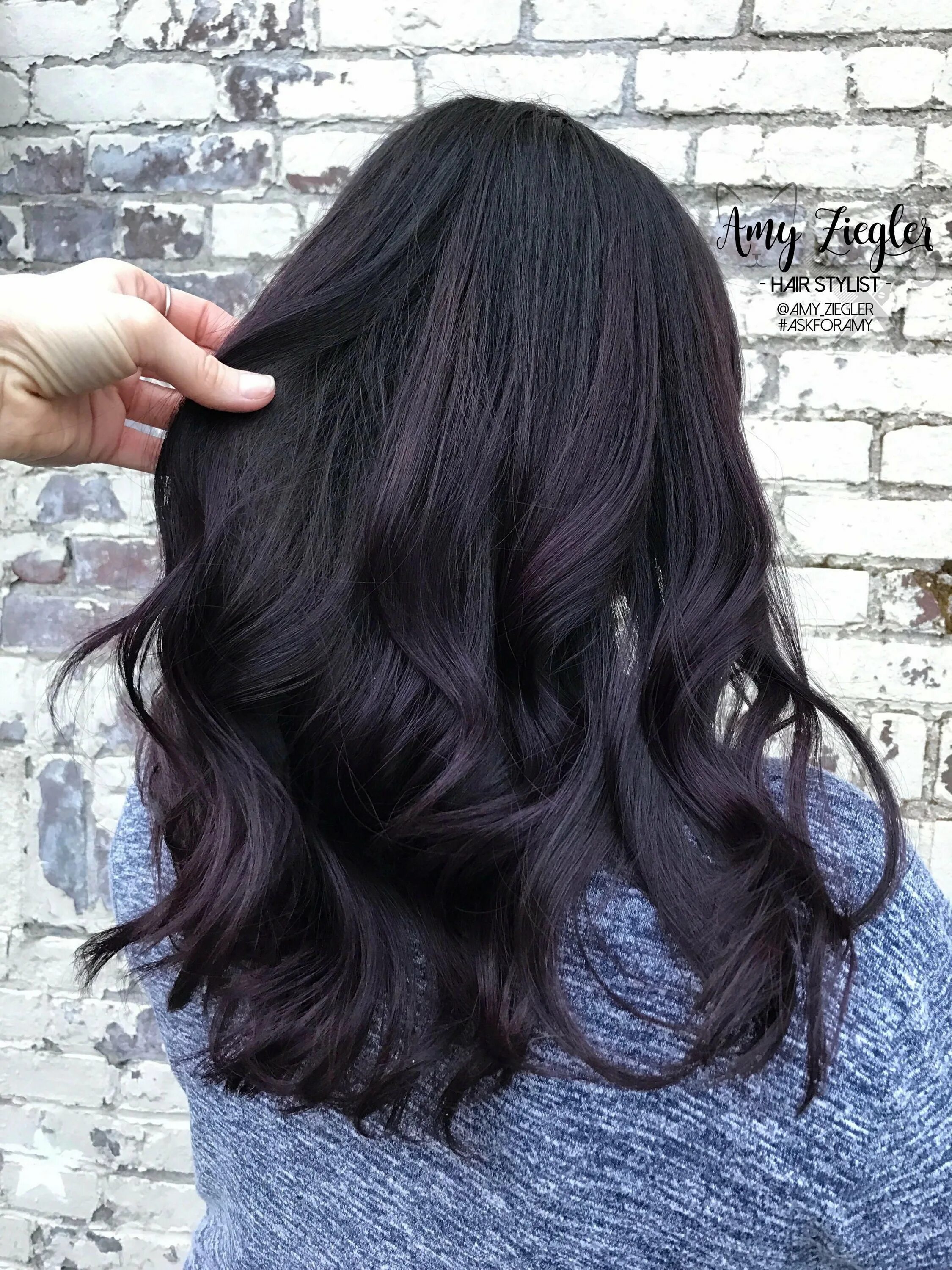 Темный баклажановый цвет волос на темные волосы. Черные волосы с фиолетовым отливом. Темный цвет волос с фиолетовым отливом. Темные волосы с фиолетовым отливом. Черные волосы с отливом
