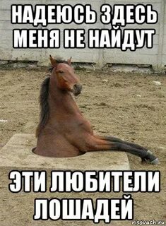 Надеяться здесь