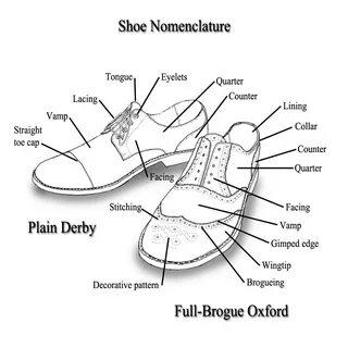 Parts of the Shoe.