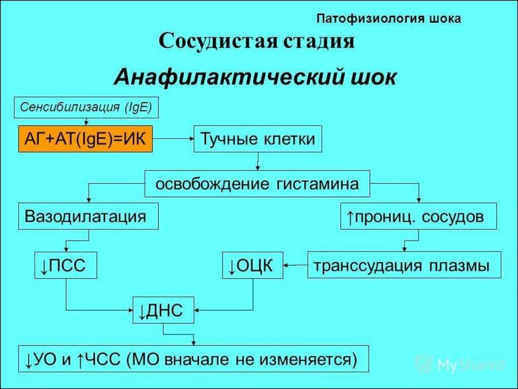 Механизм развития анафилактического шока патофизиология. Анафилактоидный ШОК патогенез. Патогенез анафилактического шока схема. Этиология шока патофизиология. Анафилактический шок патогенез