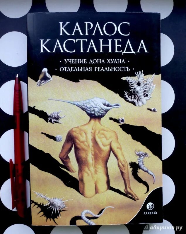 Кастанеда учение Дона Хуана отдельная реальность. Книга Дон Хуан Кастанеда Карлос. Учение Дона Хуана Карлос иллюстрации. Кастанеда учение Дона Хуана арт.