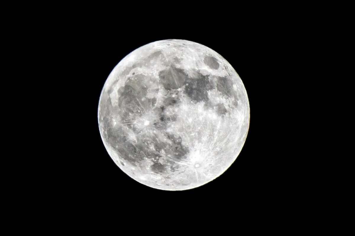 Луна. Луна вблизи. Вид с Луны. Луна месяц. Какое животное первым облетело вокруг луны