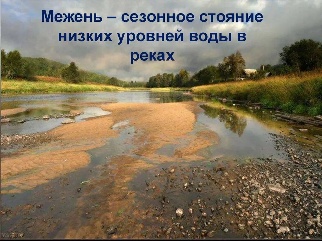 Река воронеж рамонь. Паводок фаза водного режима. Летняя межень. Обмеление реки волги. Гомель река днепр.