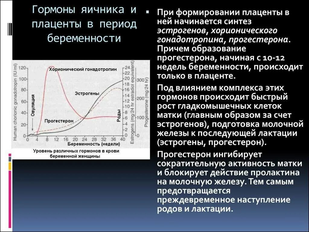 Забеременеть эстроген. Эстрогены функции. Фазы цикла у женщин эстрадиол. Эстроген и прогестерон при беременности. Забеременеть эстроген.