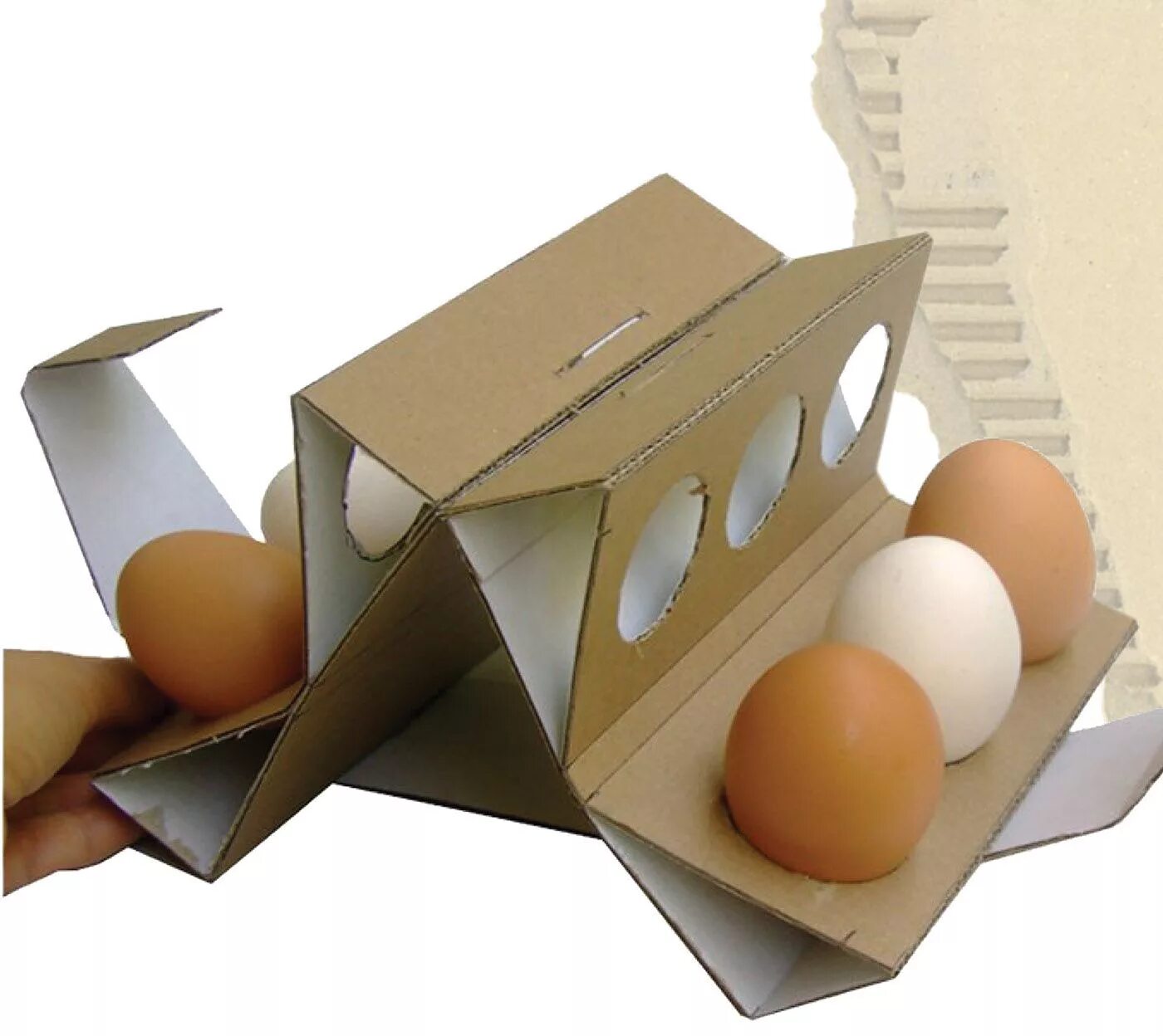 Упаковка для яиц купить. Креативная упаковка для яиц. Дизайнерская упаковка для яиц. Картонная упаковка для яиц. Экологичная упаковка для яиц.
