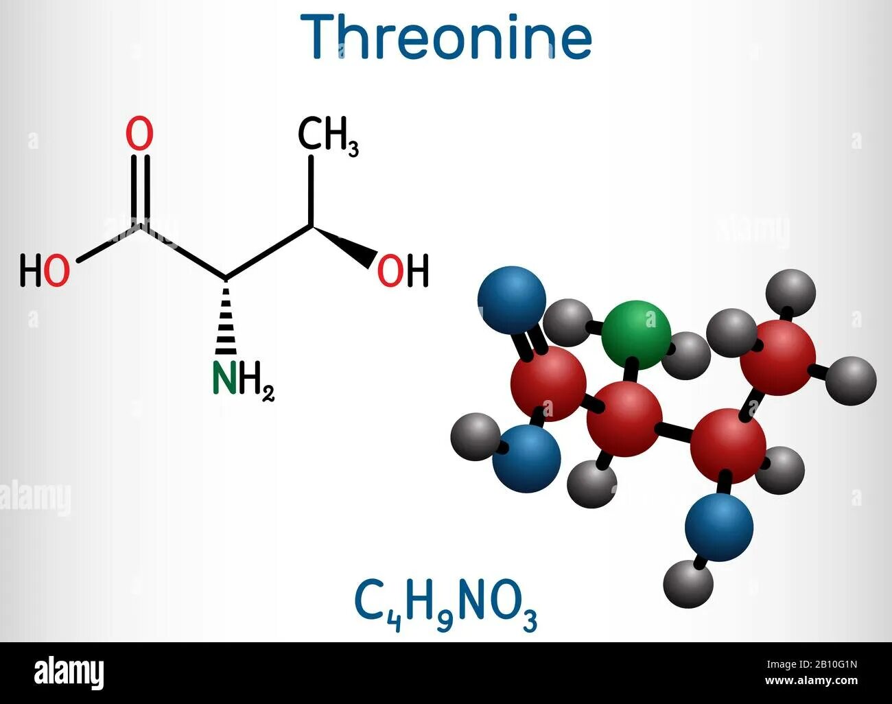Треонин молекулярная формула. Треонин молекула. Треонин thr. Треонин аминокислота формула. Треонин это