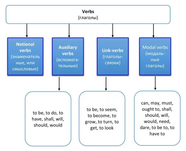 Verbs function. Modal Auxiliary verbs в английском языке. Notional verb. Linking verbs в английском. Классификация глаголов.