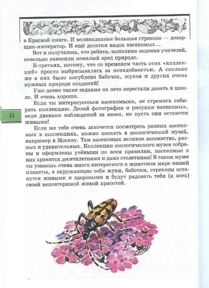 Великан на поляне насекомые. Великан на поляне рассказ не ловите насекомых для коллекций. рассказ не ловите насекомых для коллекций из книги великан на поляне. книга великан на поляне не ловите насекомых для коллекций. книга великан на поляне не ловите насекомых.