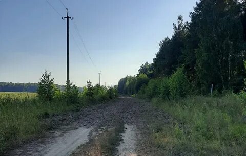 Старожиловские просторы