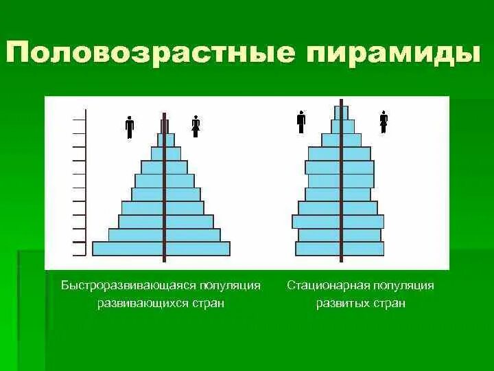 Сравнение половозрастных пирамид стран разных типов. Половозрастная пирамида мира. половозрастная пирамида 1 типа воспроизводства. демографические пирамиды стран мира. регрессивная половозрастная пирамида.