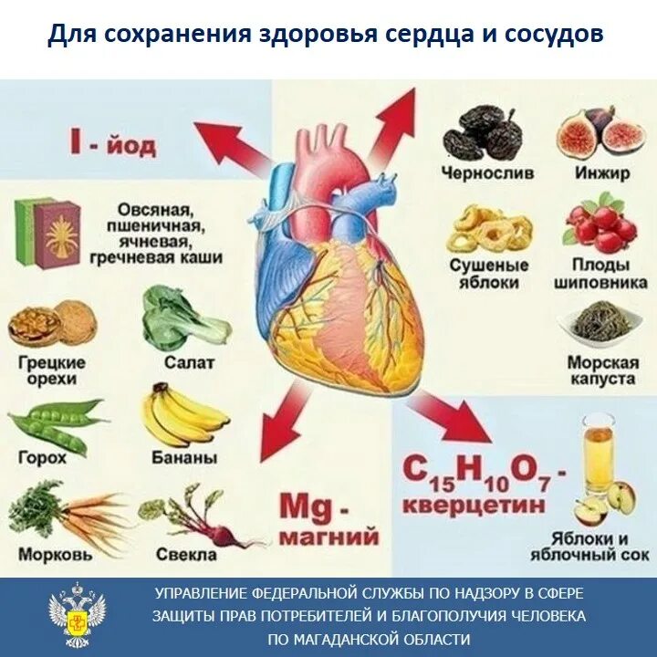 Овощи полезные для сердца. Продукты для сердца. Сердце из продуктов. Что полезно есть для сердца. Витамины полезные для сердца.