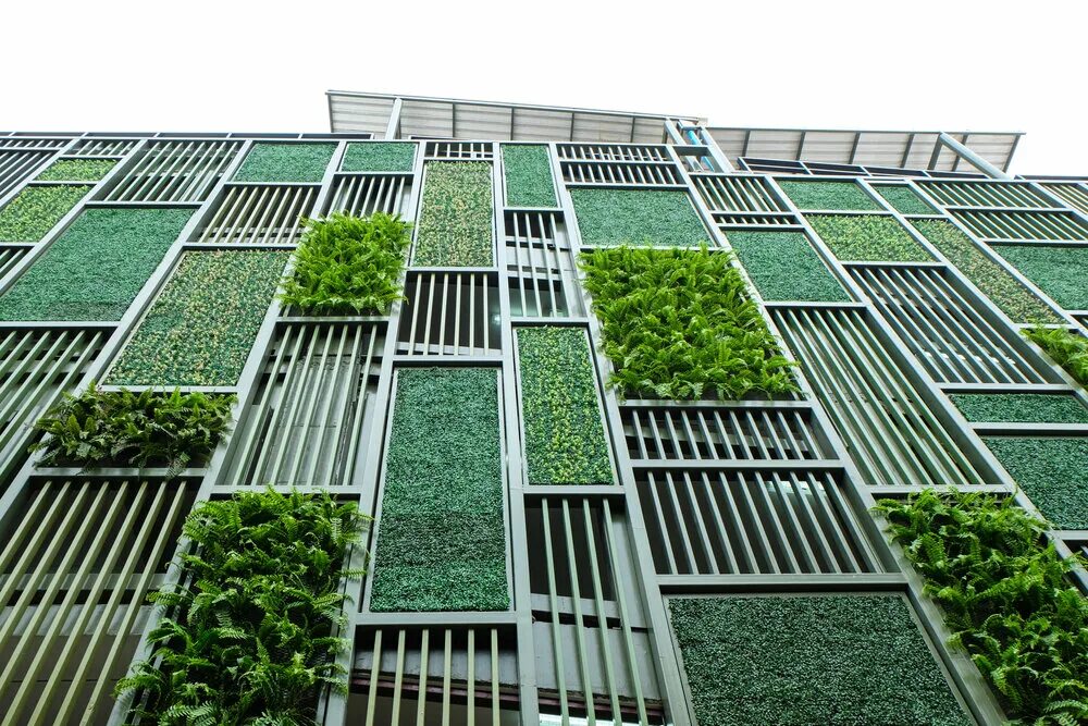 Зеленые фасады зданий. Вертикальное Озеленение фасадов. Зелень на фасаде. Вертикальное Озеленение в архитектуре. Bi q