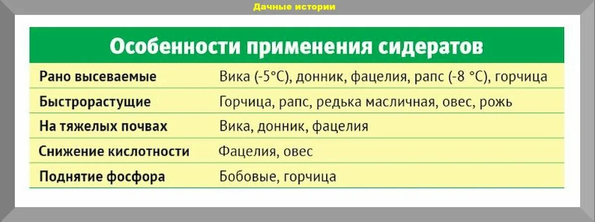 Сроки посева сидератов таблица. Какие сидераты лучше сеять осенью после картофеля. Когда лучше сеять сидераты. Какие сидераты лучше сеять весной. Когда сажать сидераты